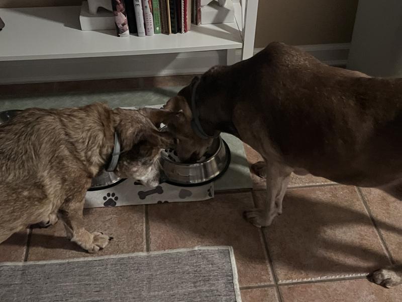 They cant get enough!