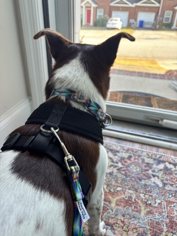 Ponyo loving his set!