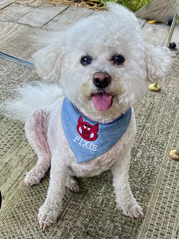 Healthy Happy Girl