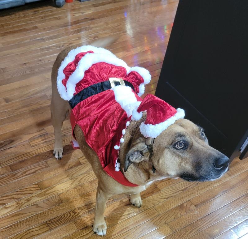 Trixie as Mrs Claws [Claus]