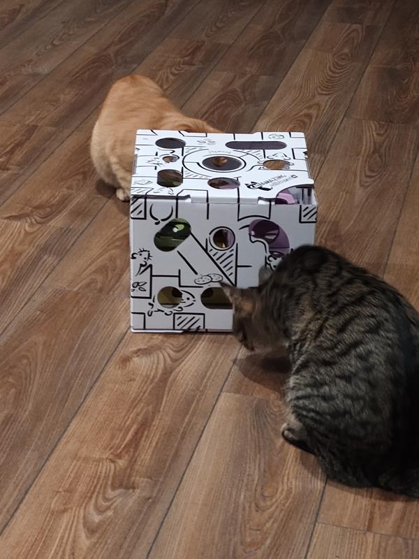 Cat Amazing Interactive Treat Maze Review 2020