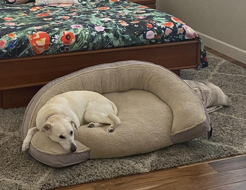 Pawslife orthopedic step 2024 in pet bed