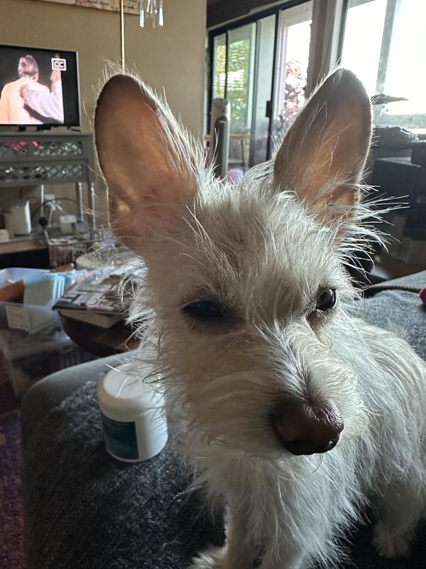 After using the wipes.