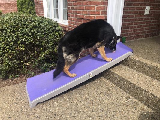 Dog prefers ramp with old yoga mat (and treats)