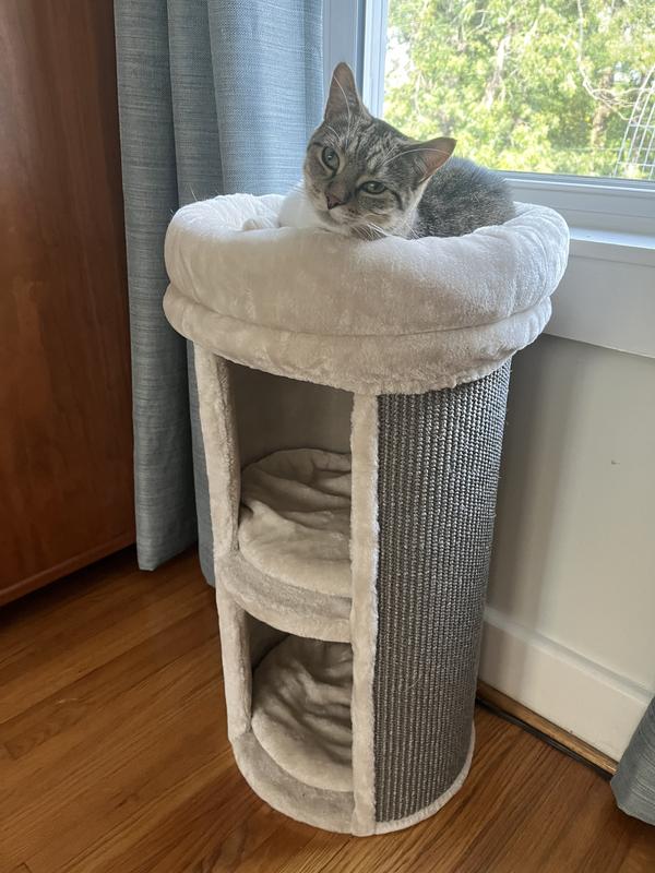 Bobby enjoys the view