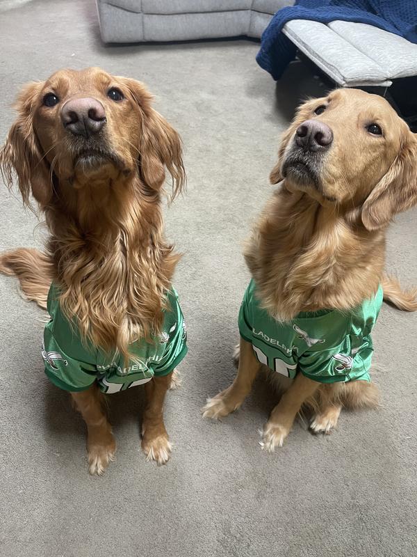 Super Bowl game faces ready! Go Birds!