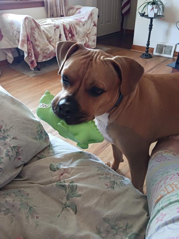 Thank you, from Bruno !