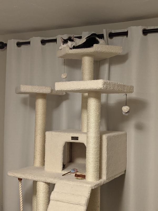 Our cat, Unagi, absolutely loves this cat tower. Not only to sleep on, but to let out his zoomies. His favorite spot is the the top and the top little "house" box. He also climbs the poles and the stairs.