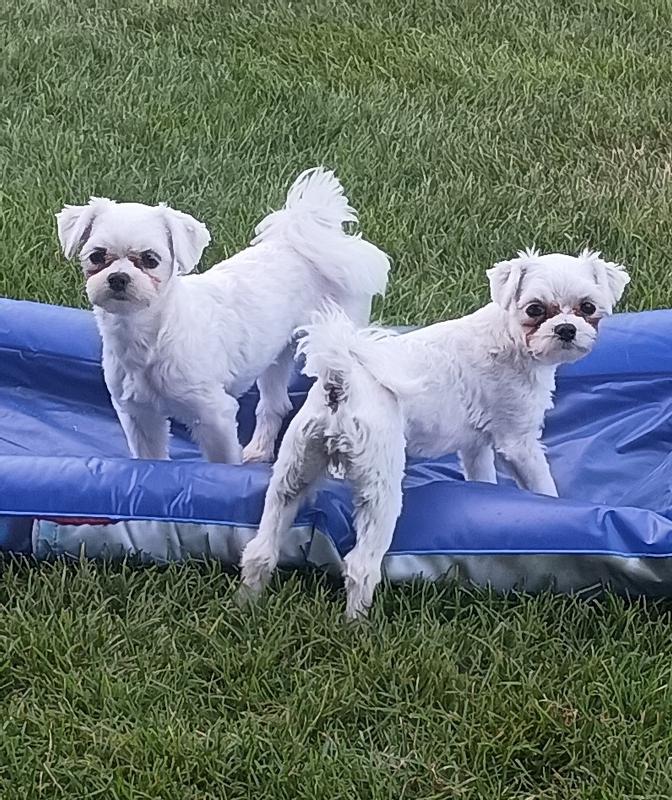 Molly & Maggie W.