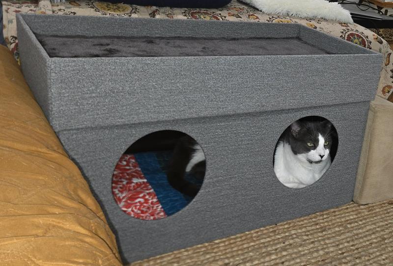 Another photo of Genie. She never went in the other one I have, and she's usually on top of these, but she does like the double entrance/exit.