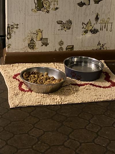 Soggy Doggy Slopmat review: Is this dog bowl mat worth it? - Reviewed