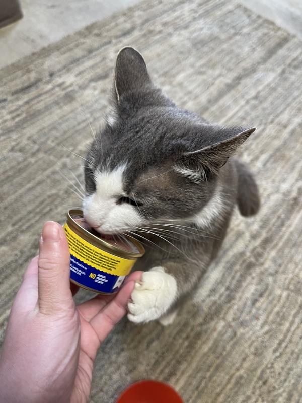 Gotta have a lick before it’s even out!
