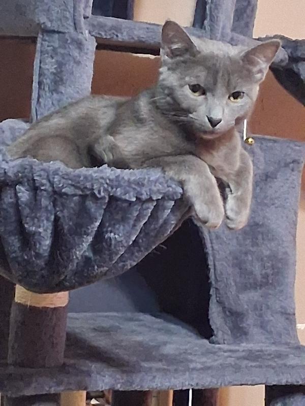 Channing at his best.