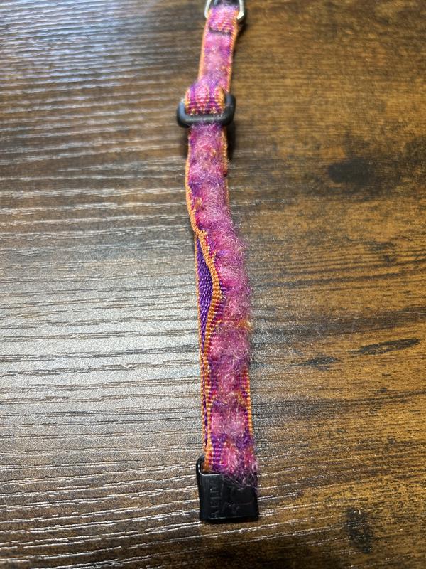 Cute design hidden by the claw damage