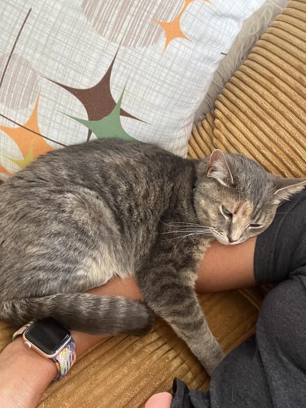 Sweet Lark deserves the best :)