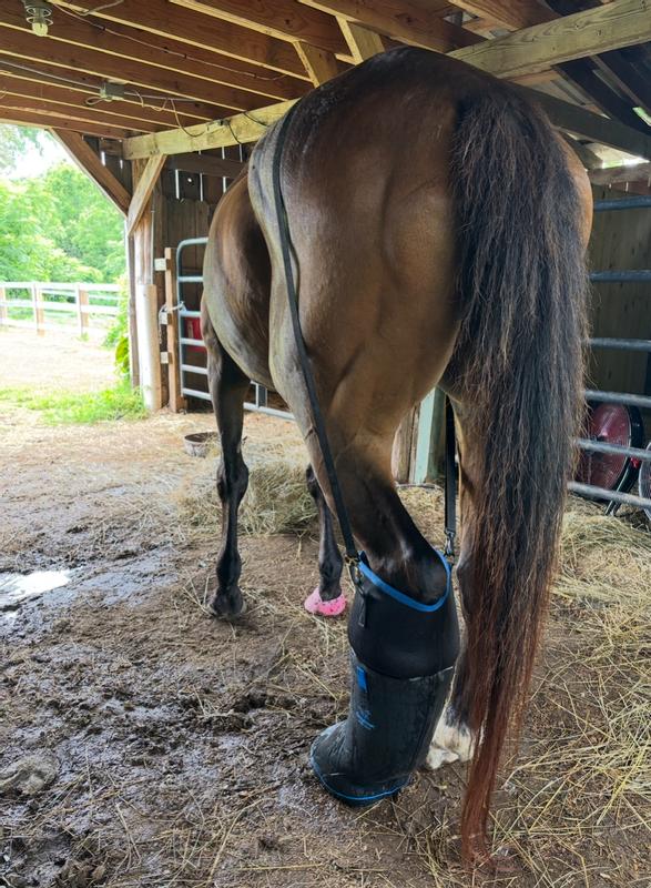 He was able to lift his leg out no matter how tight we made the strap. Where there’s a will, there’s a way!