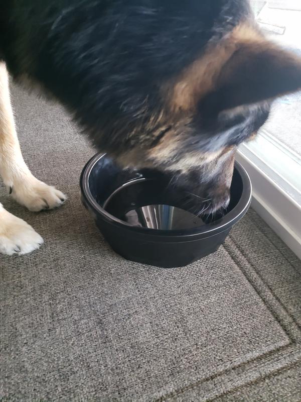 This is a cool dish mom!