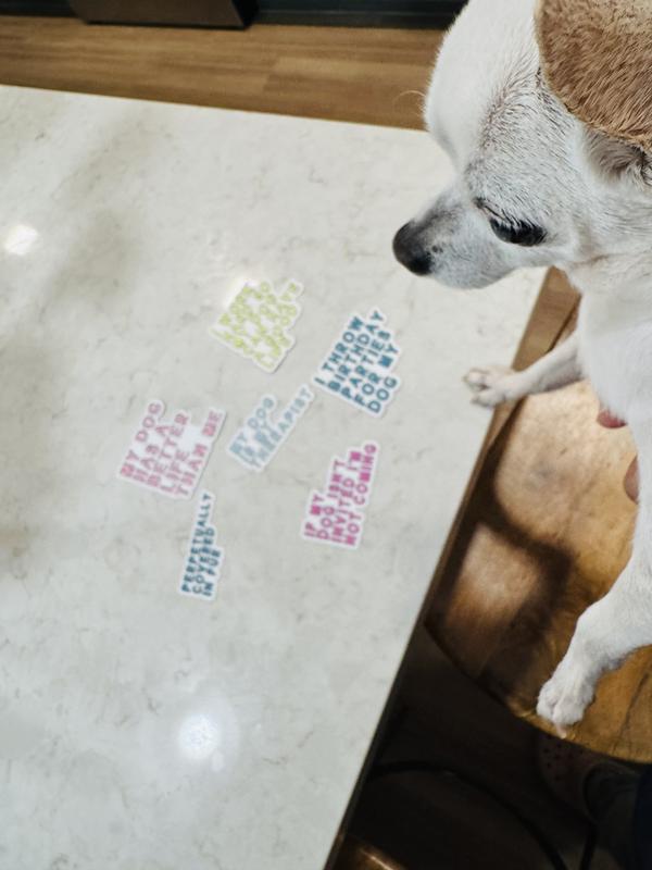 Charlie is checking these out!