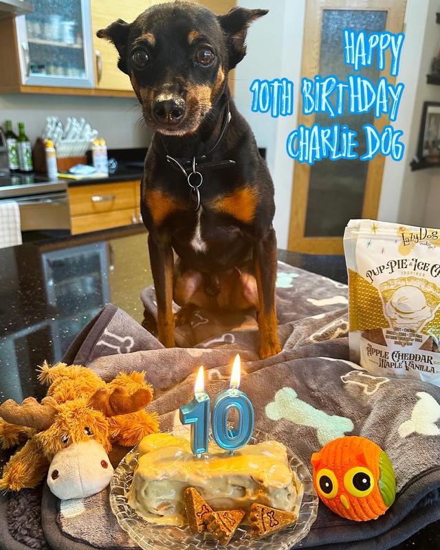 It’s a doggone party.