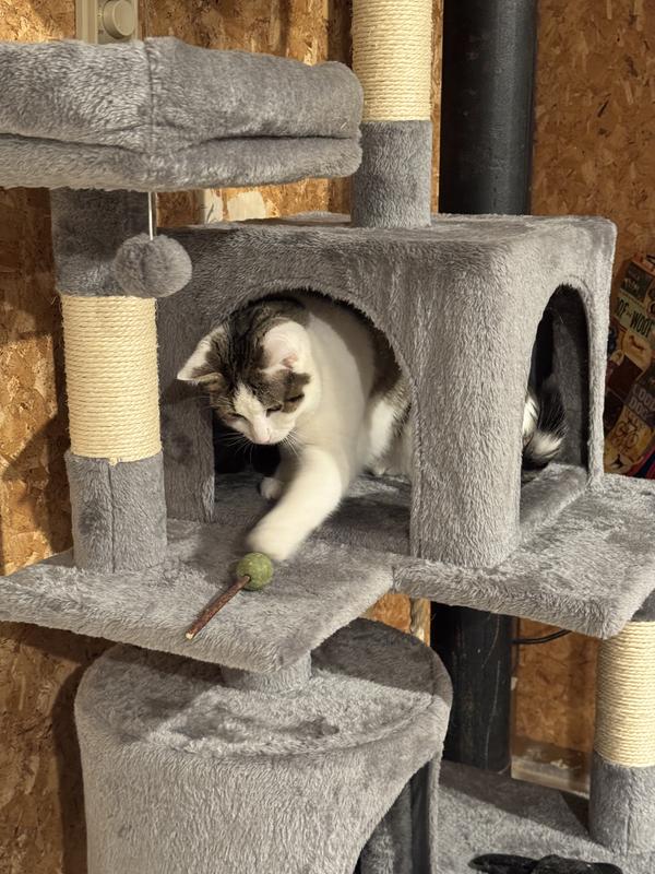 Enjoying it on his own