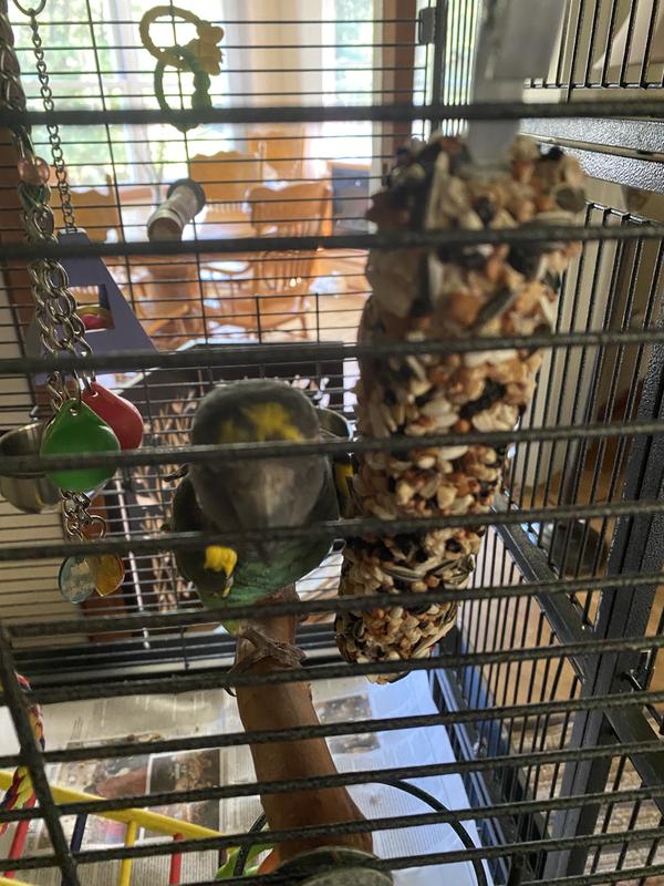 Stuart enjoying his SmakersSnack