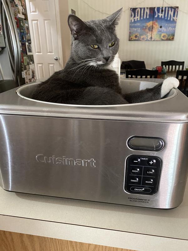 FAERIE MAE Says: LOVE ANIMALS, DON’T EAT THEM!