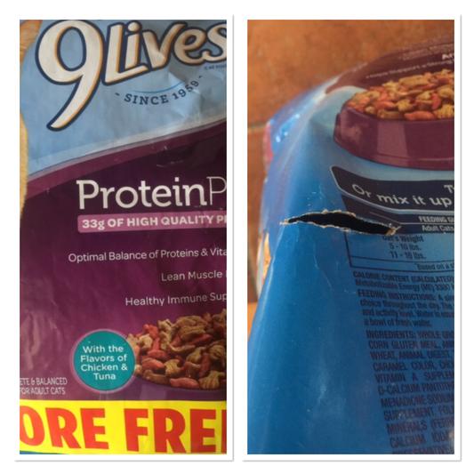 9 lives protein plus best sale