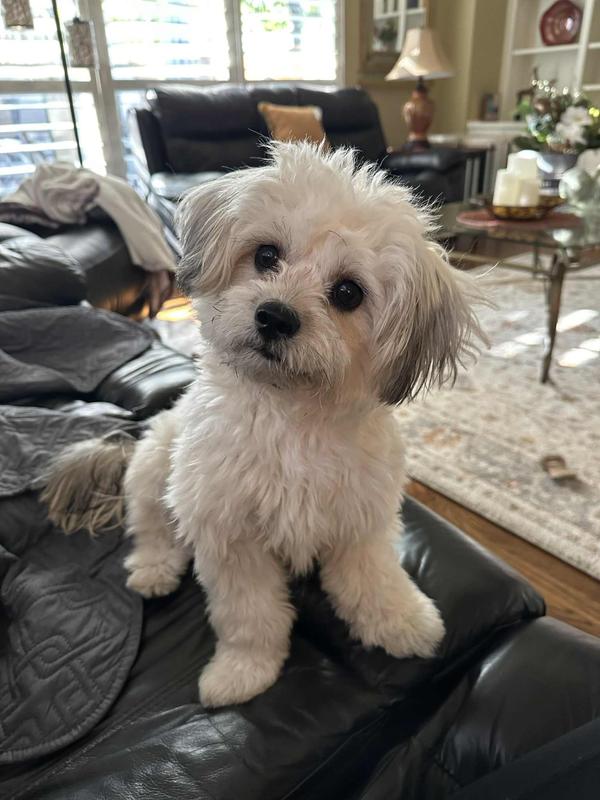 Where’s my modeling fee?