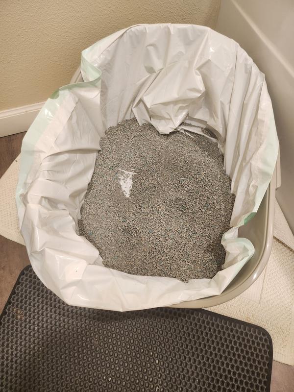 FRISCO High Back Cat Litter Box, Extra Large, Gray, 23in