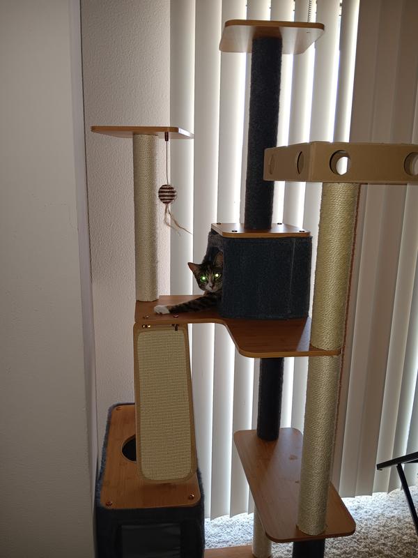 Chillin' in her tree...