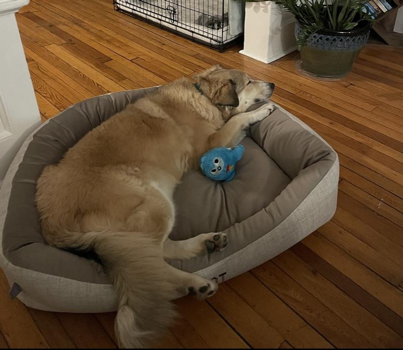 Plenty of room to curl up or stretch out.