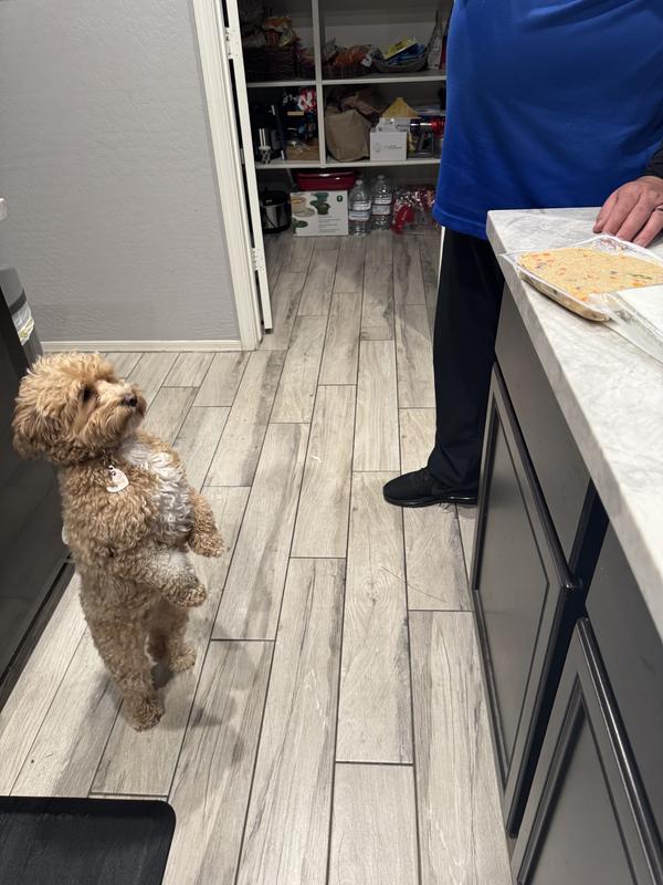 Sophie can’t wait for her yummy healthy dinner!