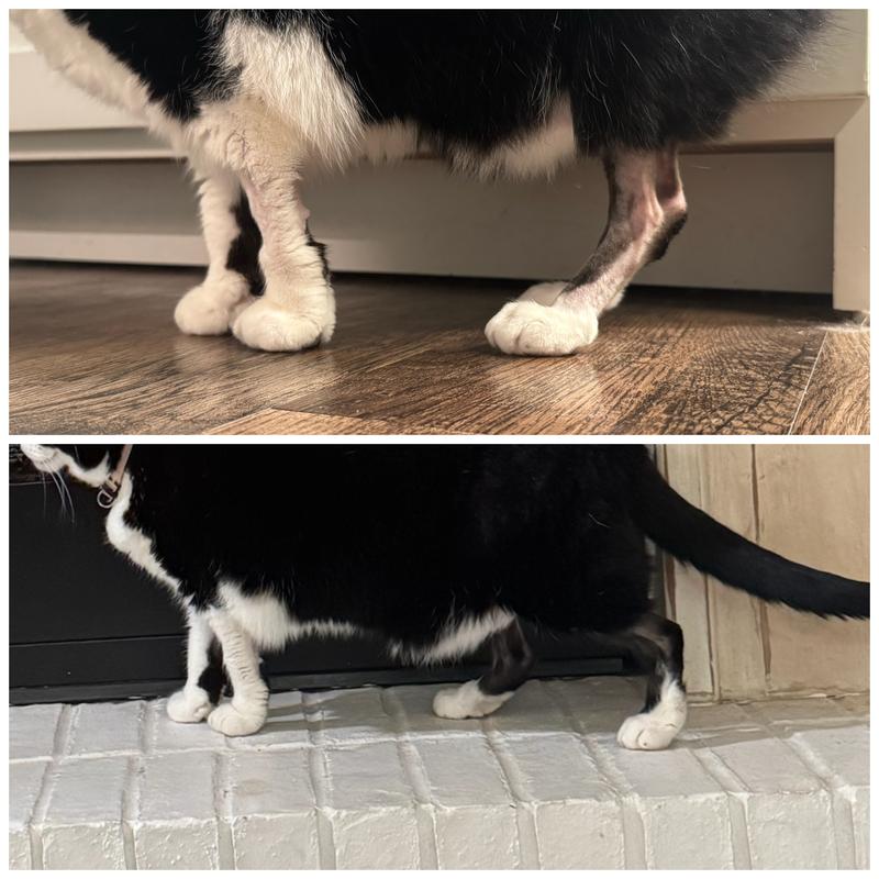 Before and after
