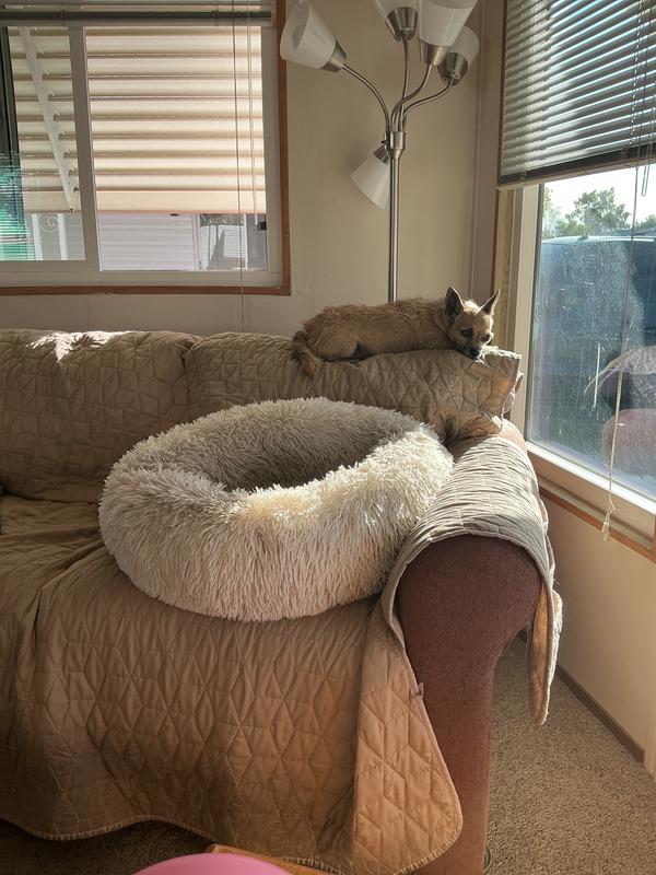 She’s just laying back after her meal.