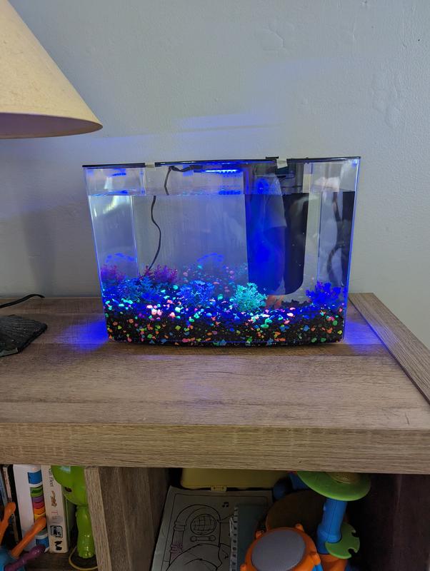 GLOFISH AQUARIUM KIT CUBE - My Pet Store and More