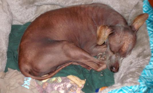 Yay! My new Forever Home!