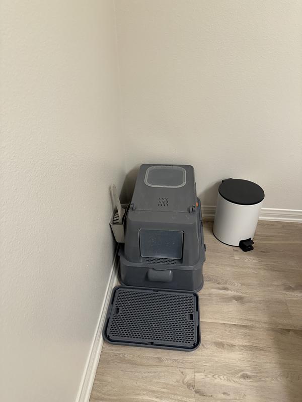 Neat and clean
