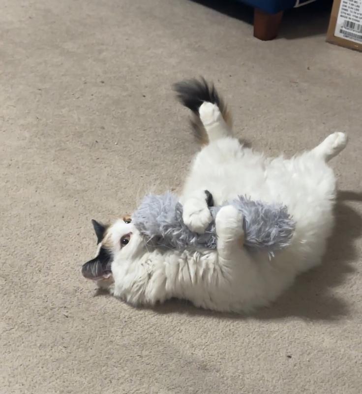 Elton playing with her Christmas present