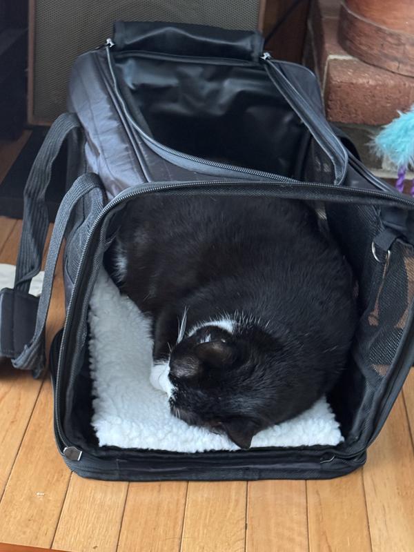 Good enough to take a nap in!