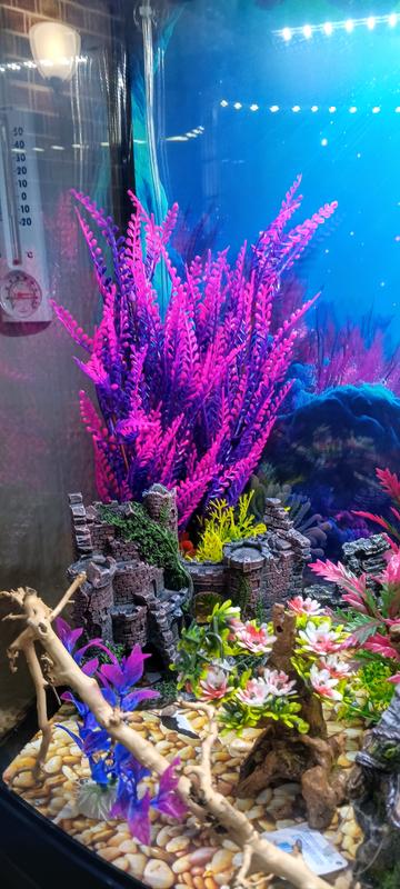 I like the colors eith the natural dto es that I have also in the tank.