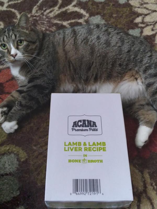 ACANA Lamb + Lamb Liver in Bone Broth GrainFree Wet Cat Food, 5.5oz