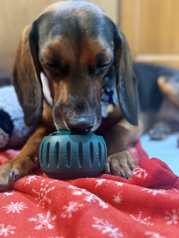 Enjoying my Pupsicle!