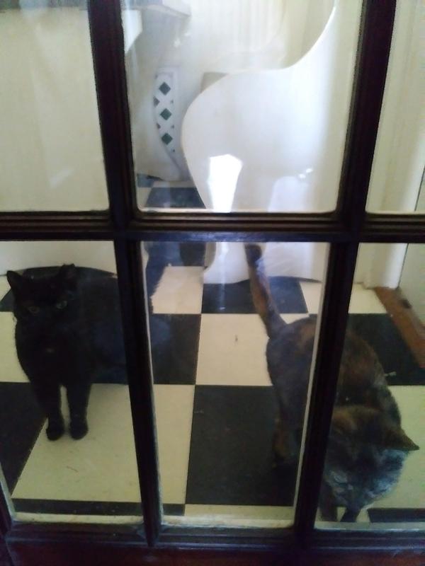 Waiting for our Temptations treats :-)