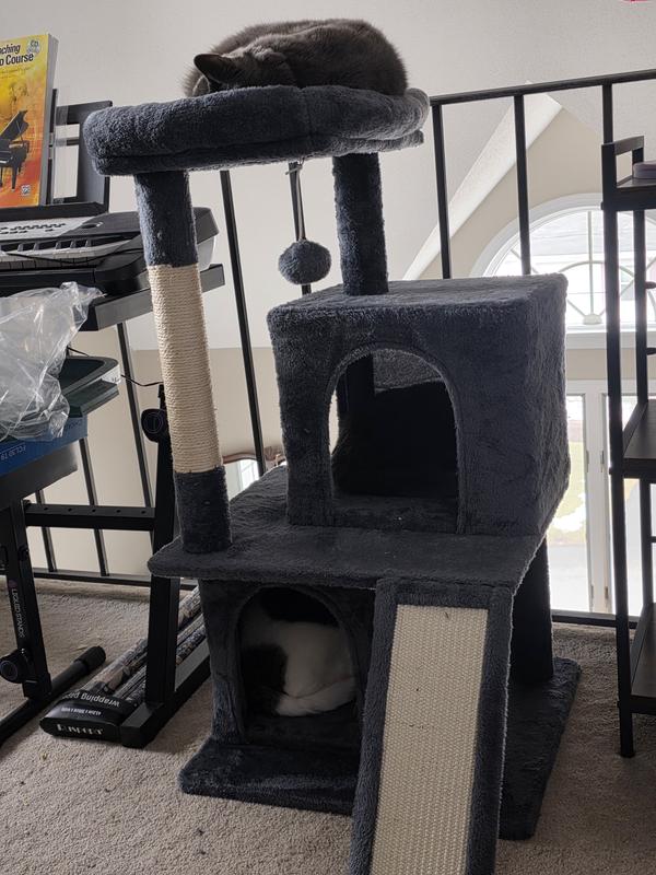 Three cats sleeping in the cat tree