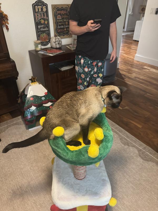 He couldn't get comfortable and hopped off