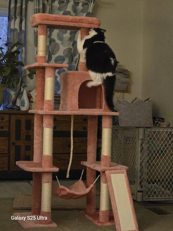 It's mine, all mine!