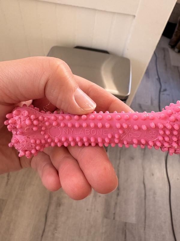 Too dangerous for my puppy