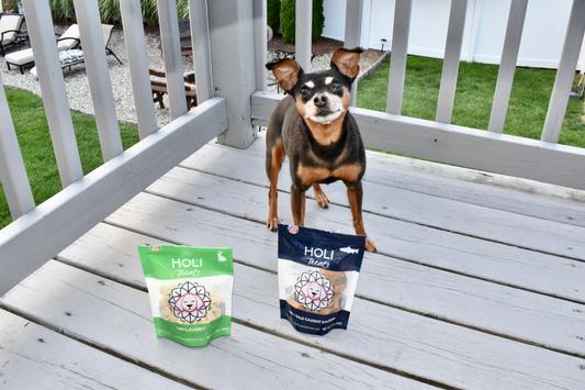 @micha.and.zoey — Micha is patiently waiting for her Holi treats!