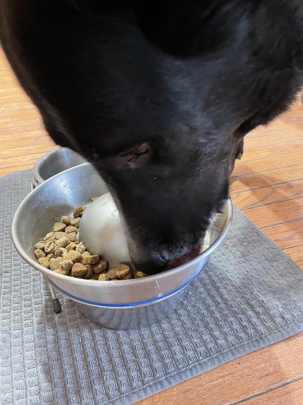 Not great photos, but they have a hard time resisting!