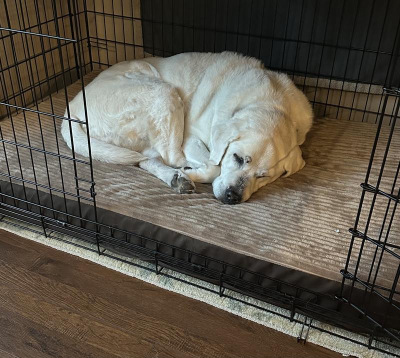 Comfortable recovering.